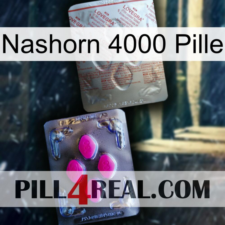 Rhino 4000 Pill 38
